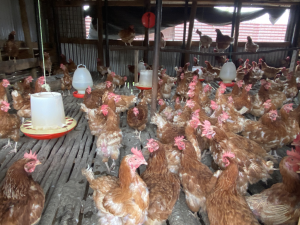 EF2DEA3D-9D20-4504-88E7-FF7E5ED66CD3